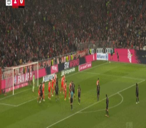 杨文龙姜鑫,杰独揽亚冬,会单板滑雪,亚博体育,亚博体育官网,亚博体育app,亚博体育下载